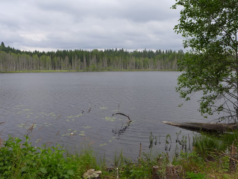 Jaktupplevelser