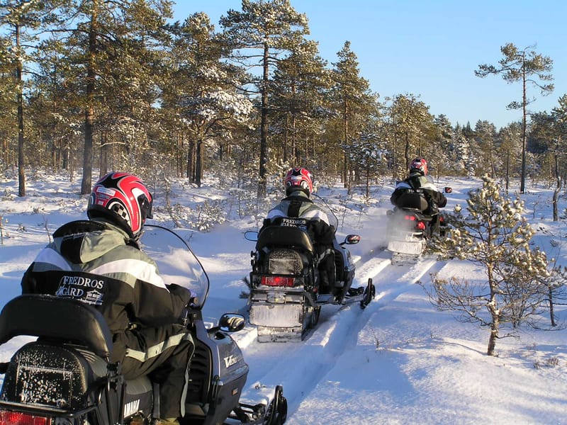 Snöskotersafari