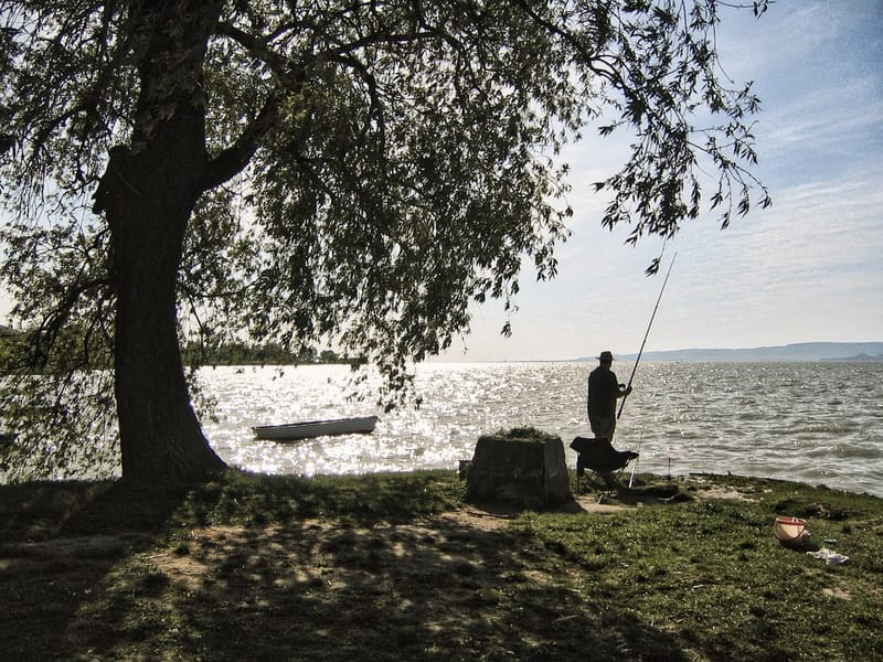 Södra Gunnarskog FVOF