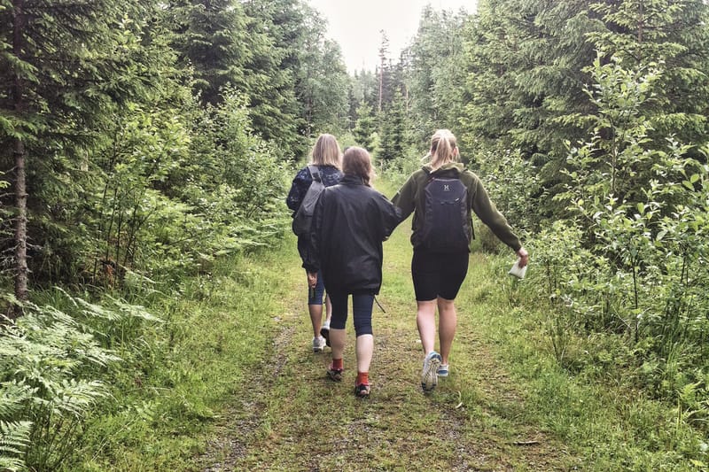 Promenadslingan i Glaskogen