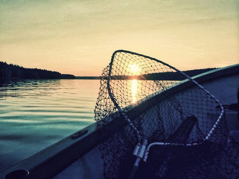 Bortan-Häljeboda FVOF