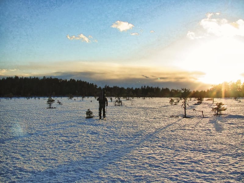 Guidad turskidåkning