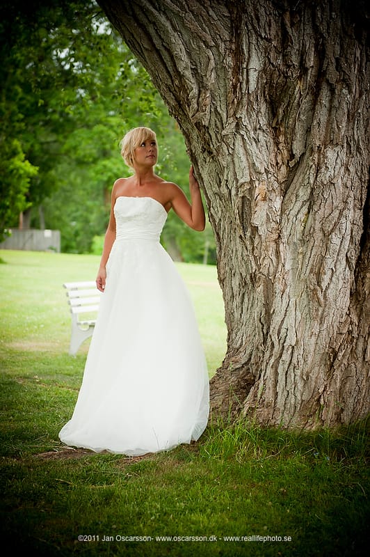 Fest och Bröllopspalatset