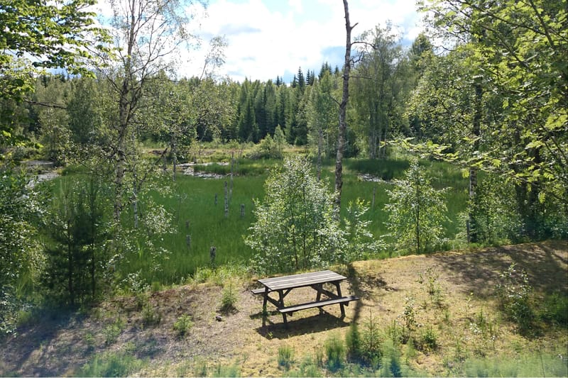 Högbergskärret