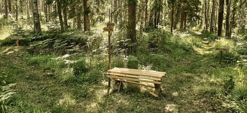 Högbergstorps naturområde i Degerfors