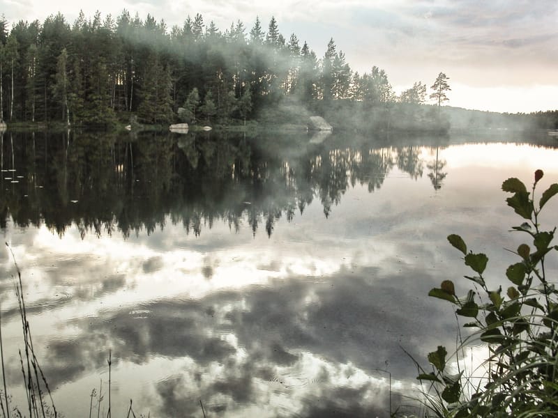 Degerfors Amatörfiskeklubb