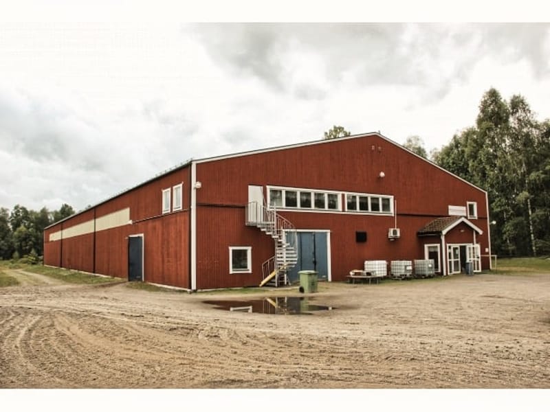 Ridning på Norra Mon