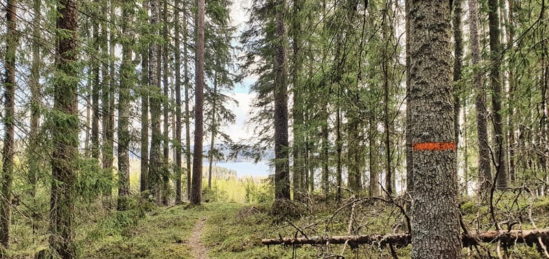 Åbengtshöjden - Naturreservat