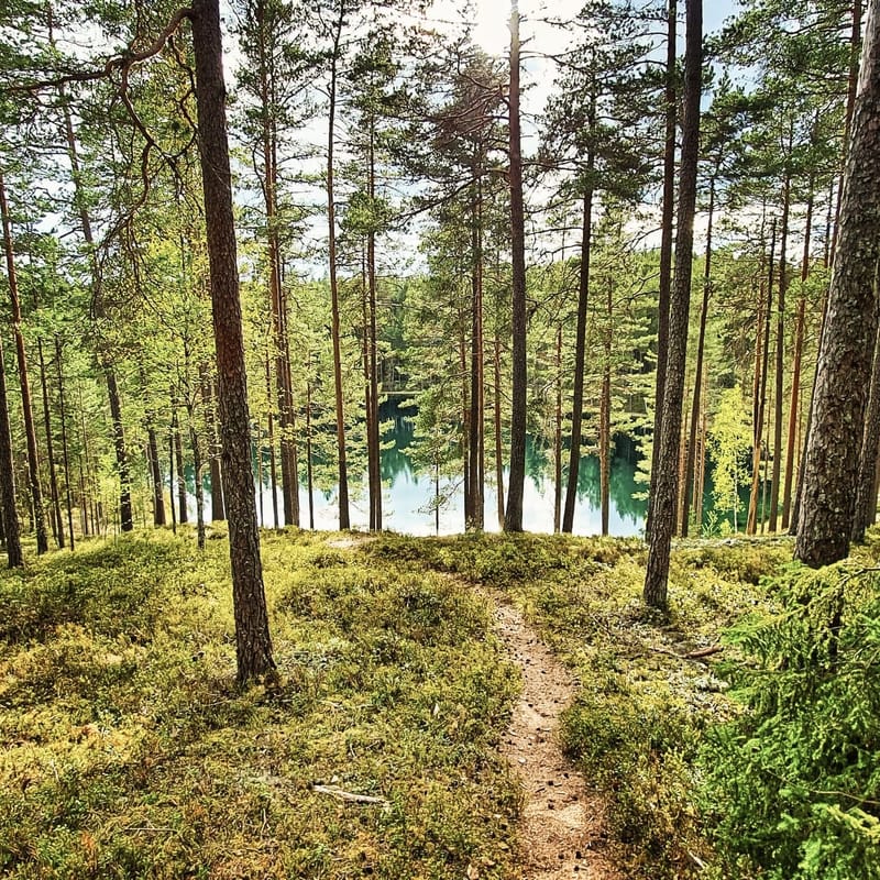 Vandringsled | Brattforsleden