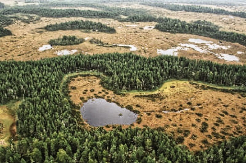 Geijersdalsmossen - Naturreservat