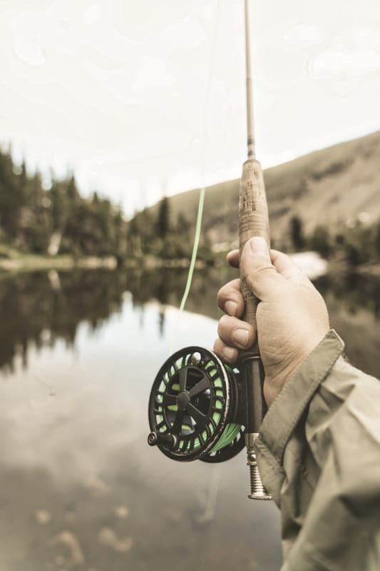 Put and take - Potten