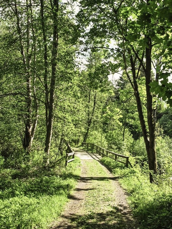 Hyttdalens vandringsstig