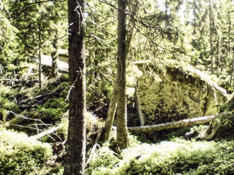 Naturreservatet Norskog Skallberget
