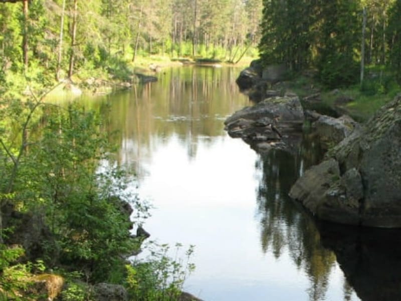 Naturreservatet Svartån