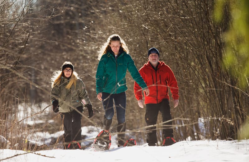 Vinteraktiviteter PJ Erlebnis Profis