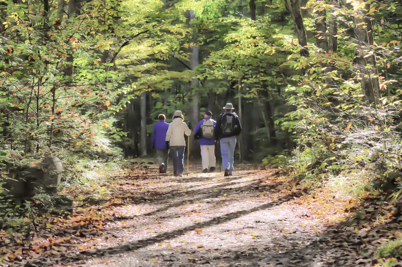 Motionsspår - Bråtenspåret