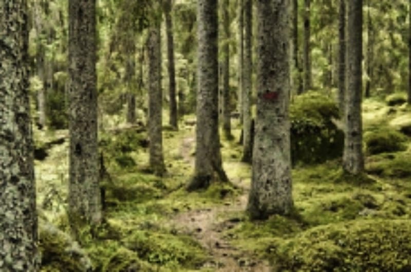 Motionsspår - Aggerudsspåret