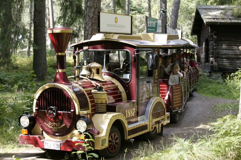 Rundturståget Conrad Höök