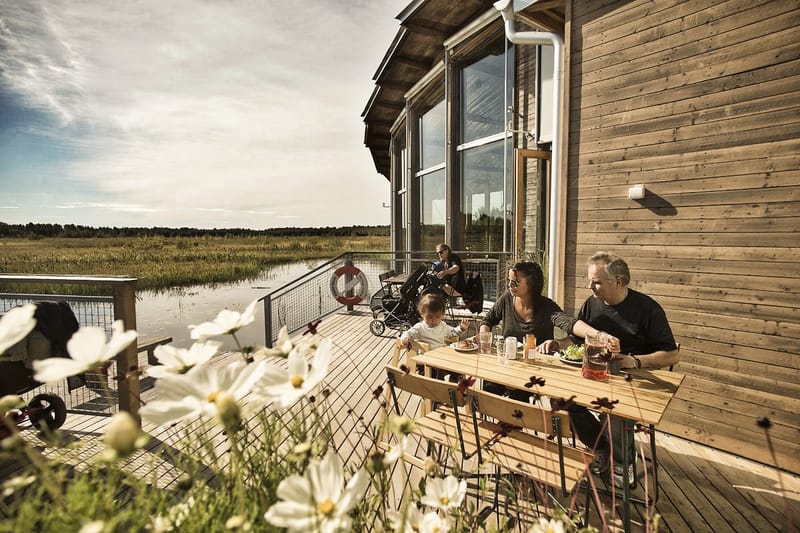 Mariebergs strandängar