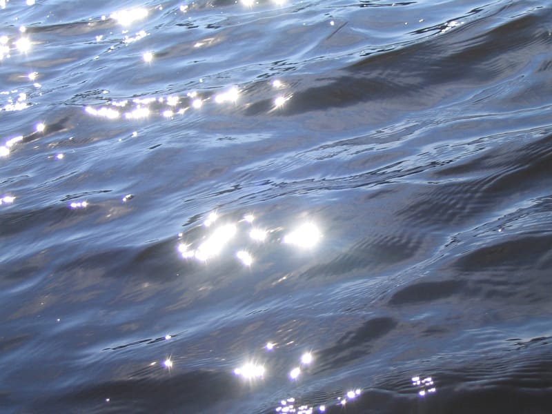 Lungsunds Fiskevårdsområde