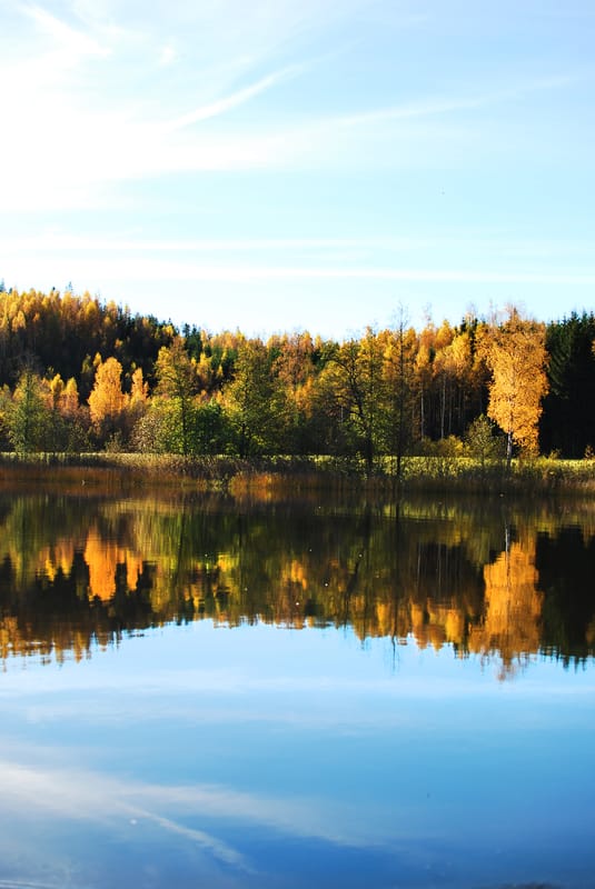 Lundsbergs Fiskevårdsförening