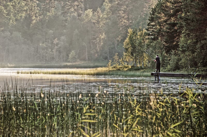 Skärgen och Långtjärnarnas FVF