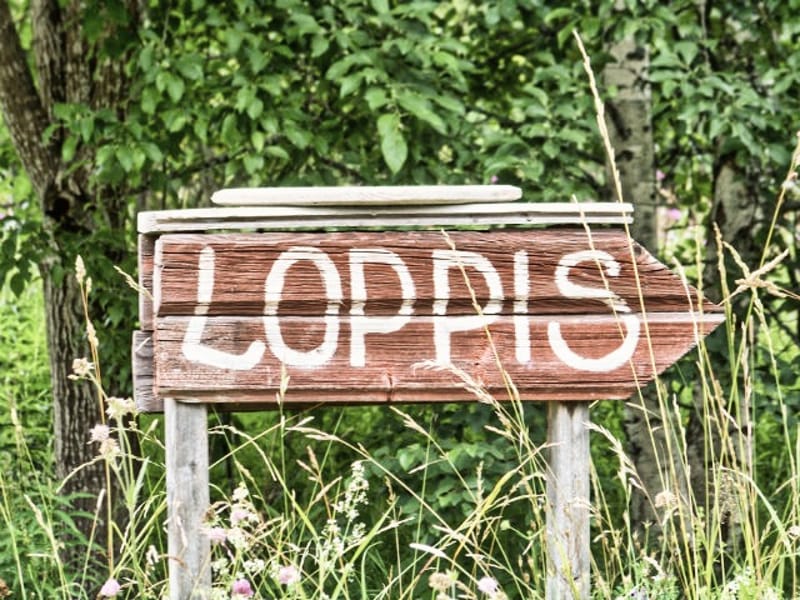 Andrahandsbutiker, loppis & auktion
