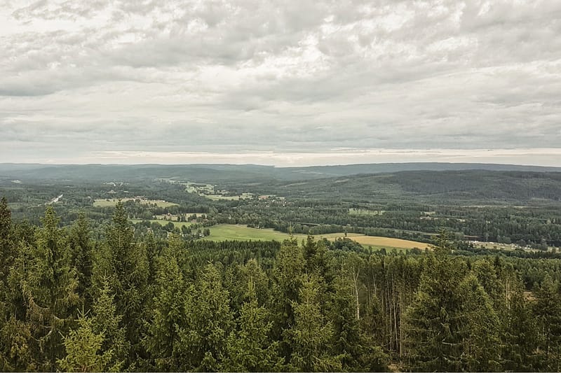 Utsiktstorn Loslätten