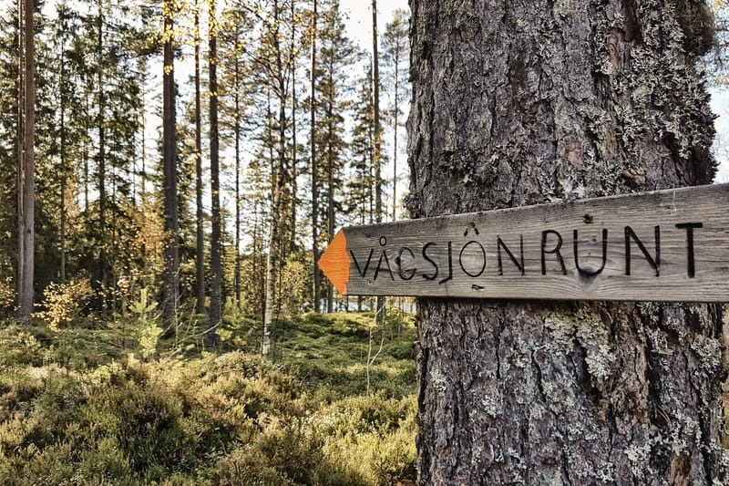 Vågsjörundan