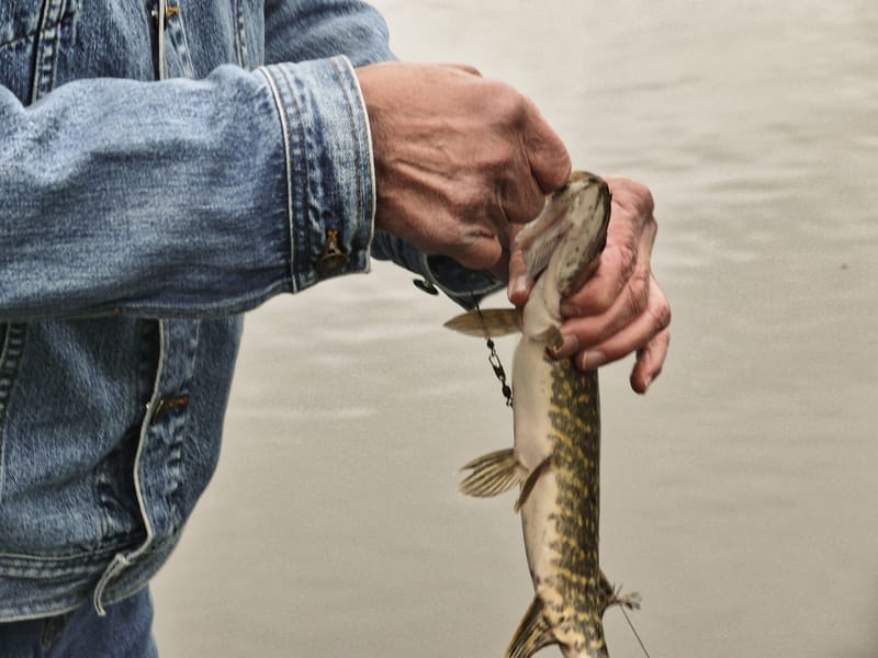 Lungsunds Fiskevårdsområdesförening