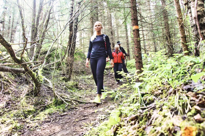 Vandringsleder i Sunne