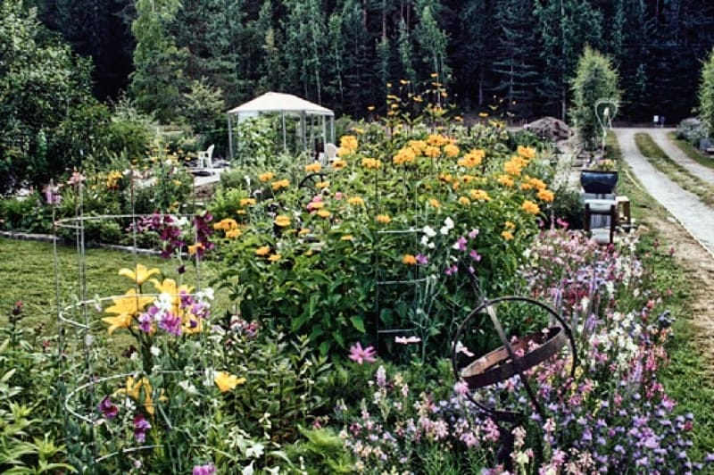 Bläckhorn, Galleri & Trädgård 