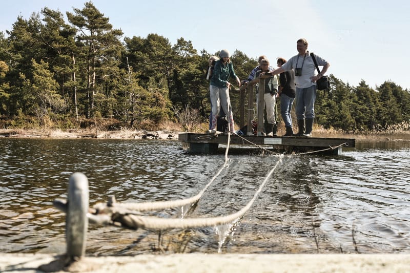 Vandra på Lurö - ön mitt i Vänern