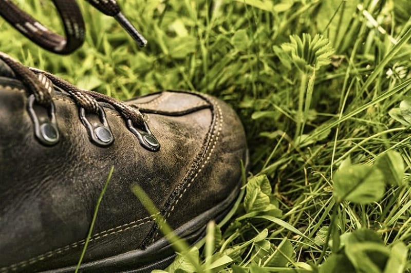 Vandra i Lönnskog - Stenbyhöjden