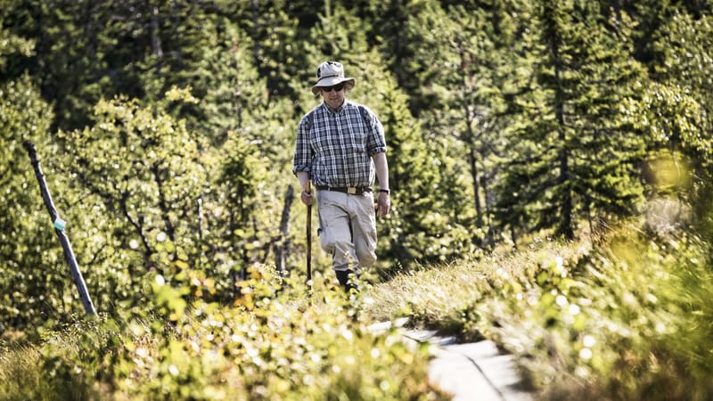 Horsstomyren-Storberget