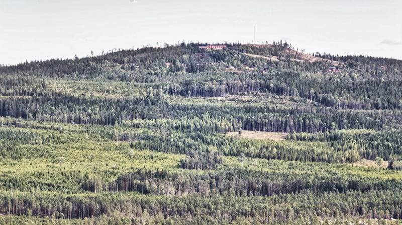 Jakt i vildmarken - Långbergets Sporthotell