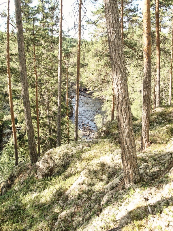 Fämtleden, 8,5 km