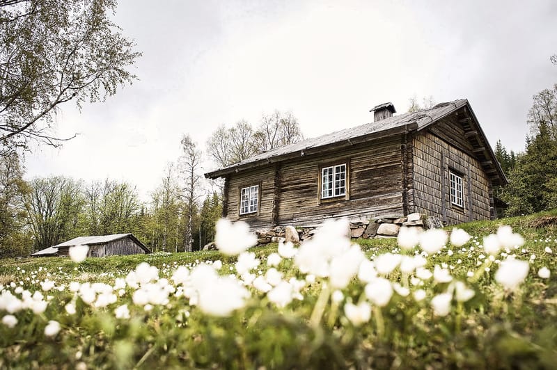 Abborrtjärnsberg