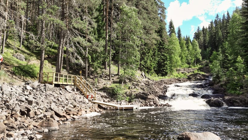 Fämtfallet