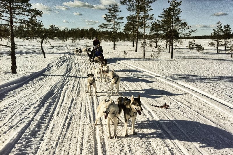 Hike Husky Tours, Branäs