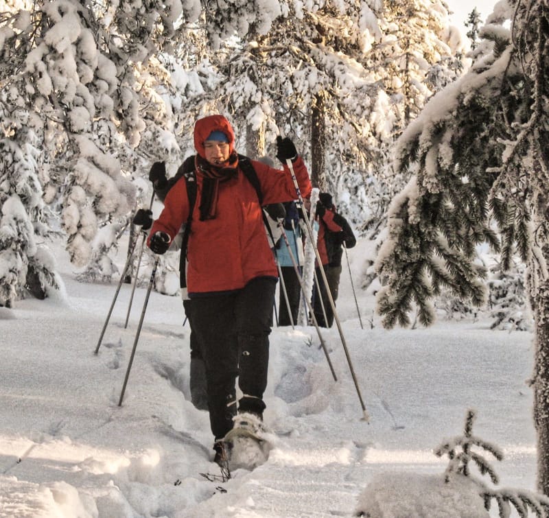 Snöskovandring Gammelbyn Hovfjället