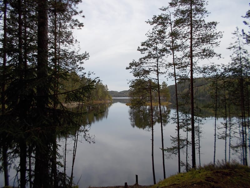 Lägerplats 30 Hagholmen - Nedre Blomsjön