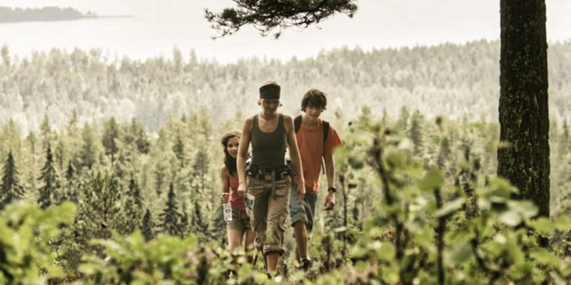 Hotellpaket -  Vandra i Glaskogen